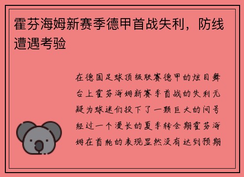 霍芬海姆新赛季德甲首战失利，防线遭遇考验